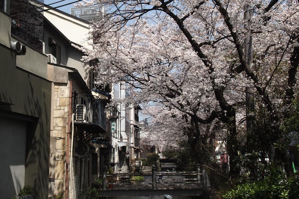 Hotel Bijuu Kyōto Exterior foto
